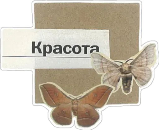 stickerset for telegram "♡буквы с газеты от sonechkojulia♡" 🤩