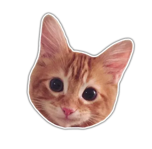 stickerset for telegram "Kittens | @etozhechat" 🙂