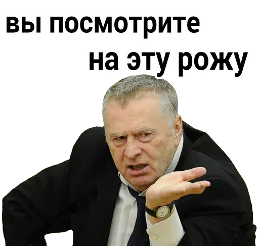 stickerset for telegram "Vladimir Zhirinovsky" 😒