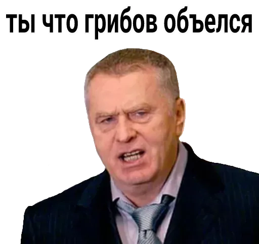 stickerset for telegram "Vladimir Zhirinovsky" 😏