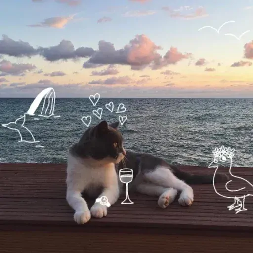 кот с винишком на берегу моря