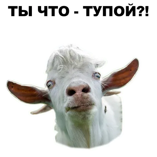 stickerset for telegram "Животные @eeZee_stickers" 😠