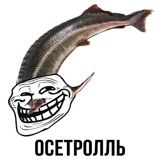 stickerset for telegram "Шлакоблокунь и друзья" 🐟