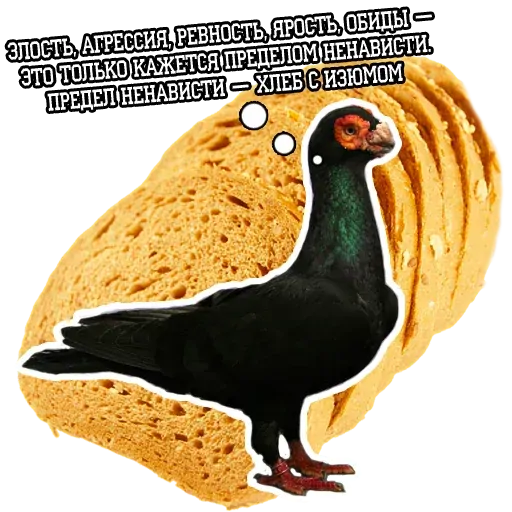stickerset for telegram "Pigeon and philosophy" 🍞