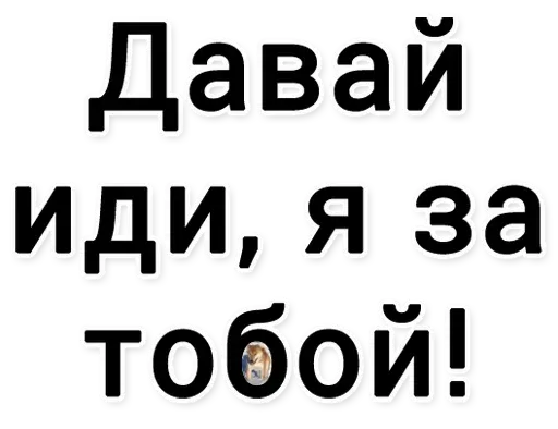 stickerset for telegram "Это фиаско, братан (@stickerssave)" 🐶