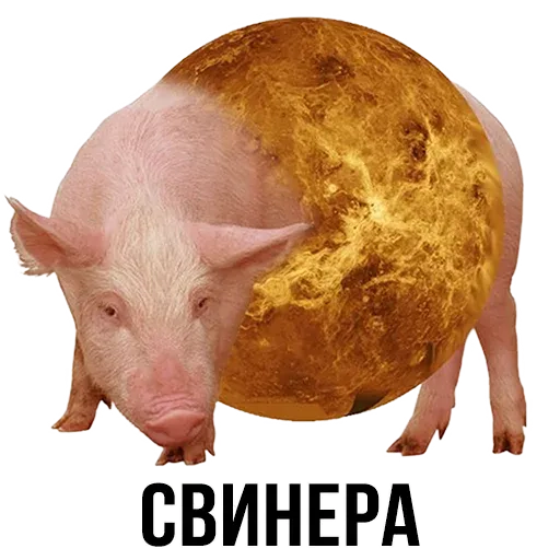 stickerset for telegram "Шлакоблокунь и друзья" 🐷